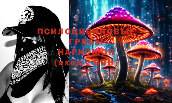 стаф Баксан
