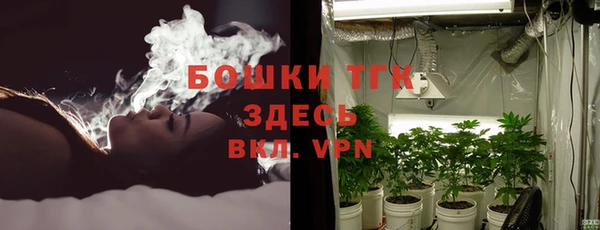 стаф Баксан