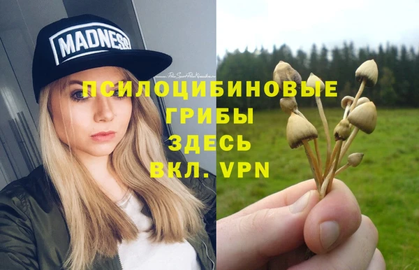 apvp Михайловск