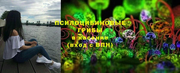 гашик Михайловка