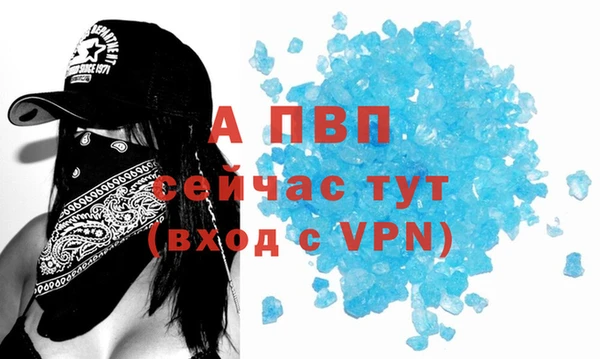 PSILOCYBIN Балабаново