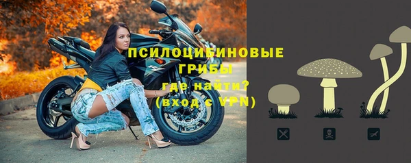 apvp Михайловск