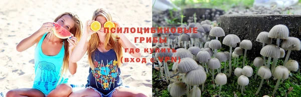 гашик Михайловка