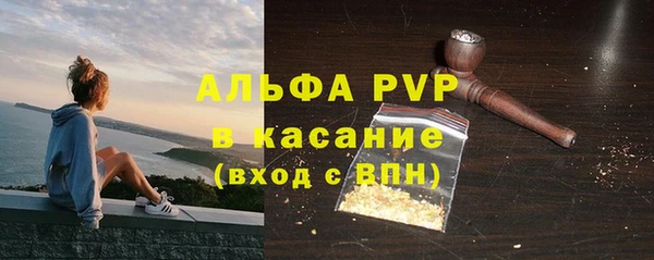 стаф Баксан