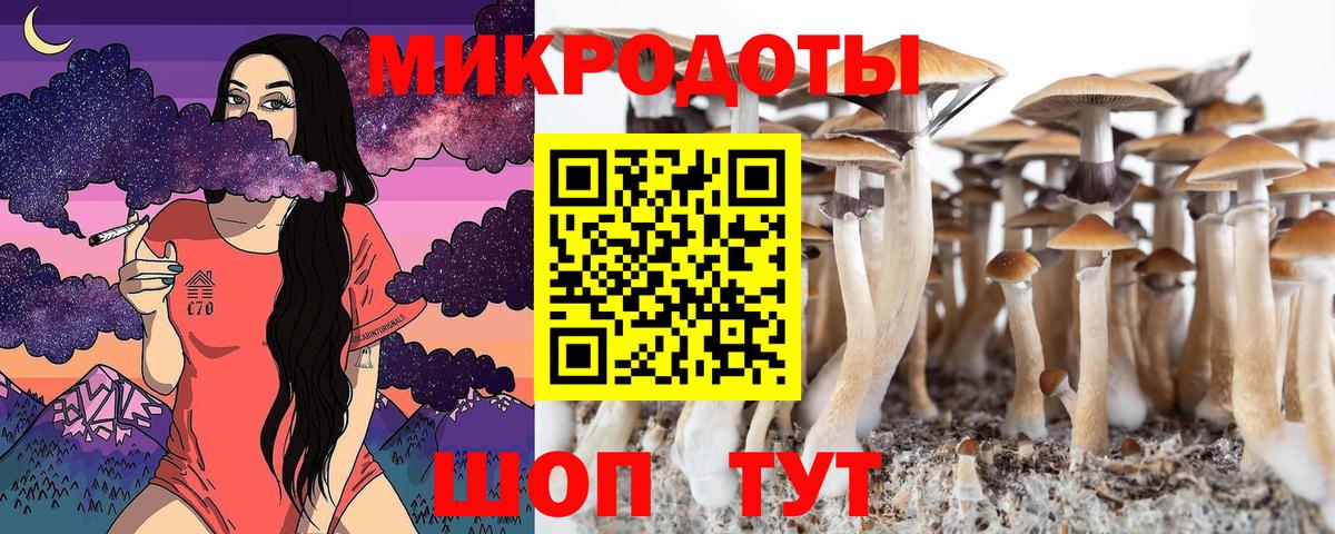 Семилуки  Псилоцибиновые грибы прущие грибы  Вход с VPN 